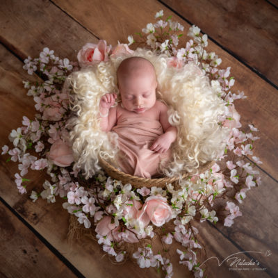 Photographe naissance avec accessoires dans les Hauts-de-France