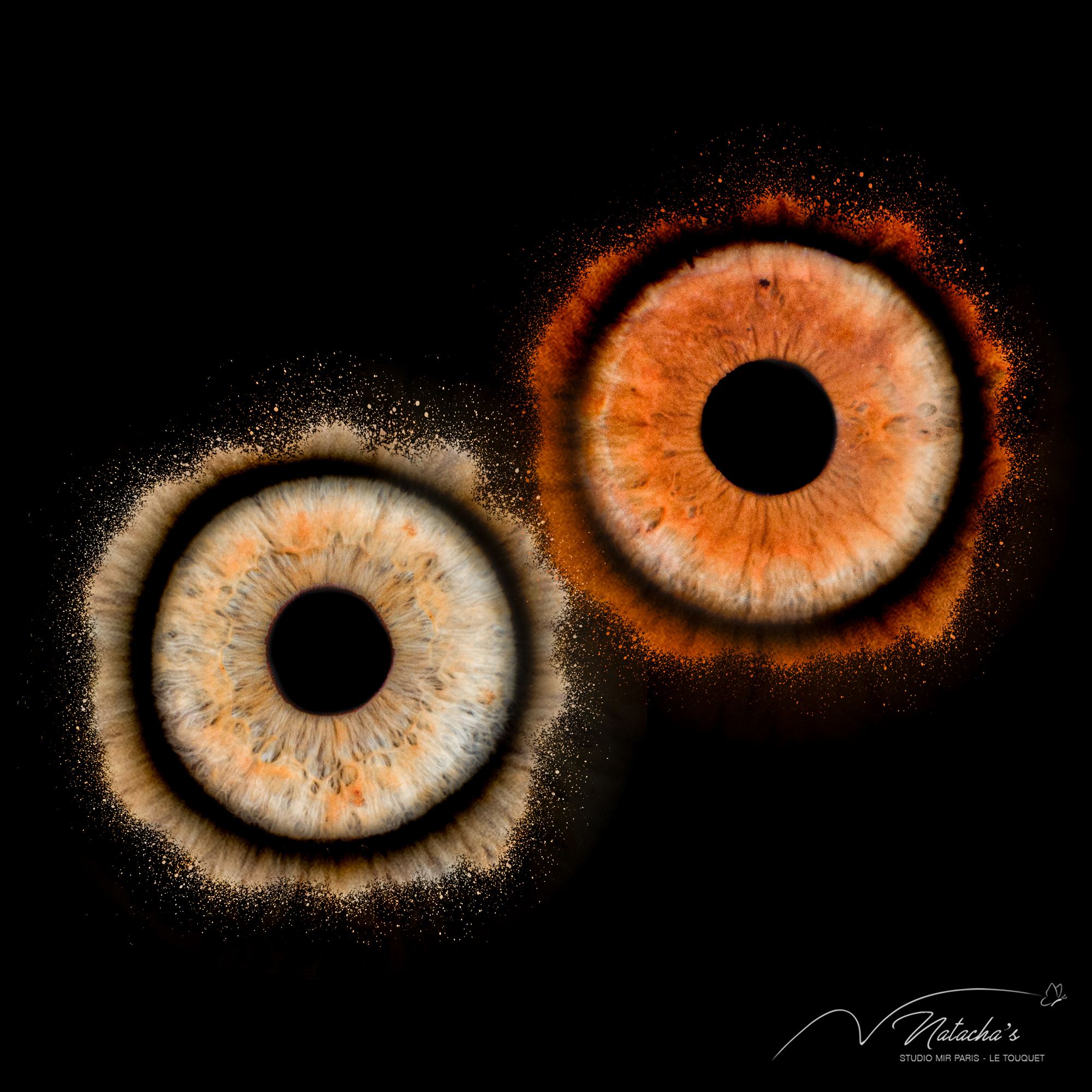 photographe-iris-couple-saint-valentin Photographe iris de couple pour la Saint-Valentin