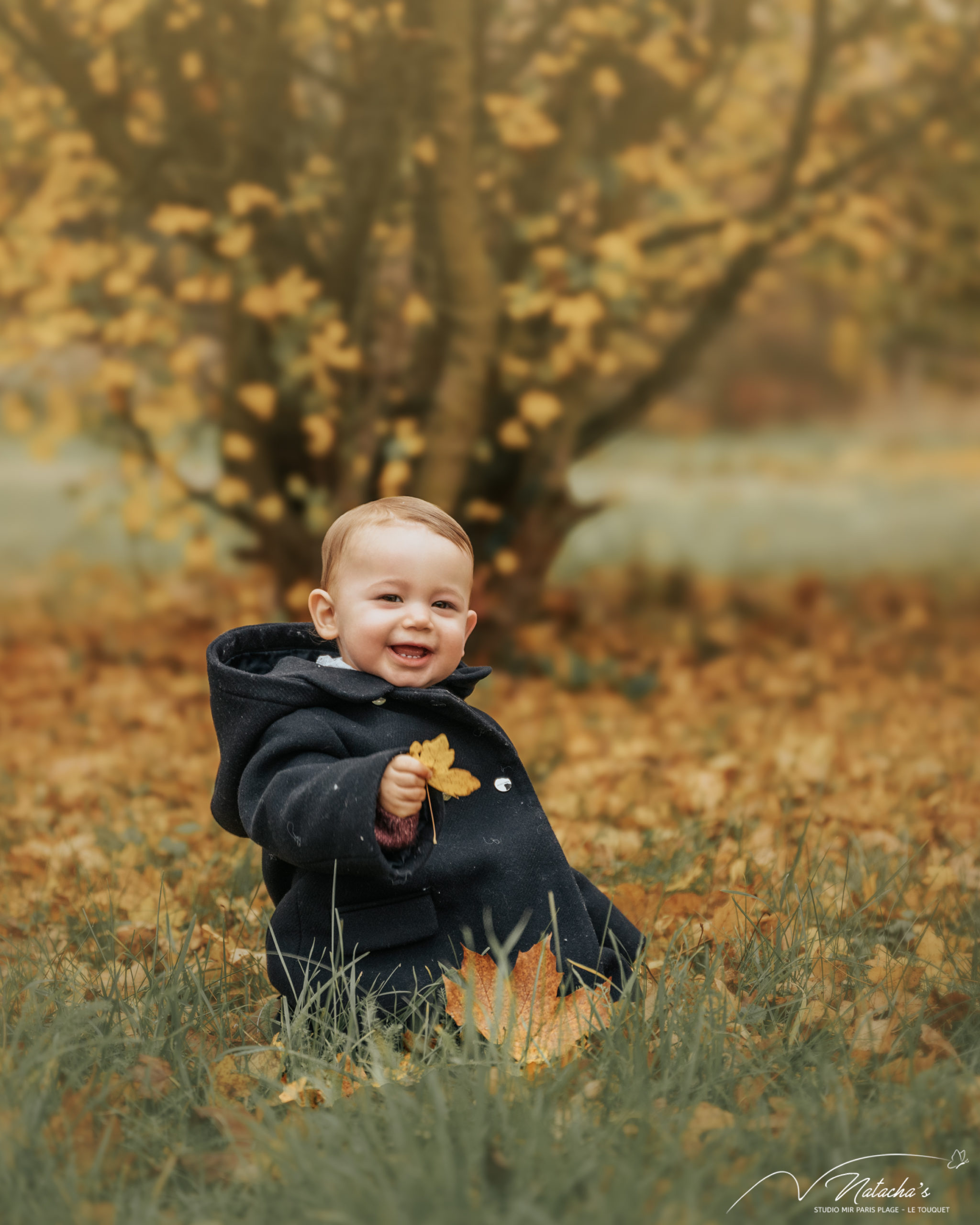 Séance photo automne dans la forêt du Touquet 🍂