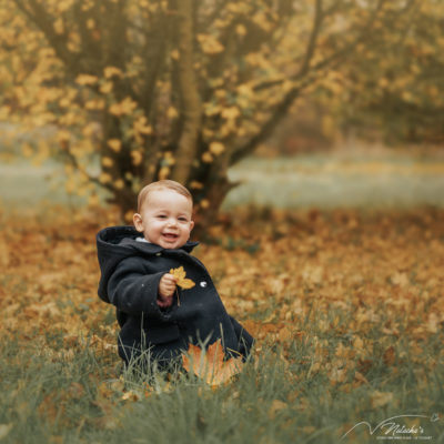 Séance photo automne dans la forêt du Touquet