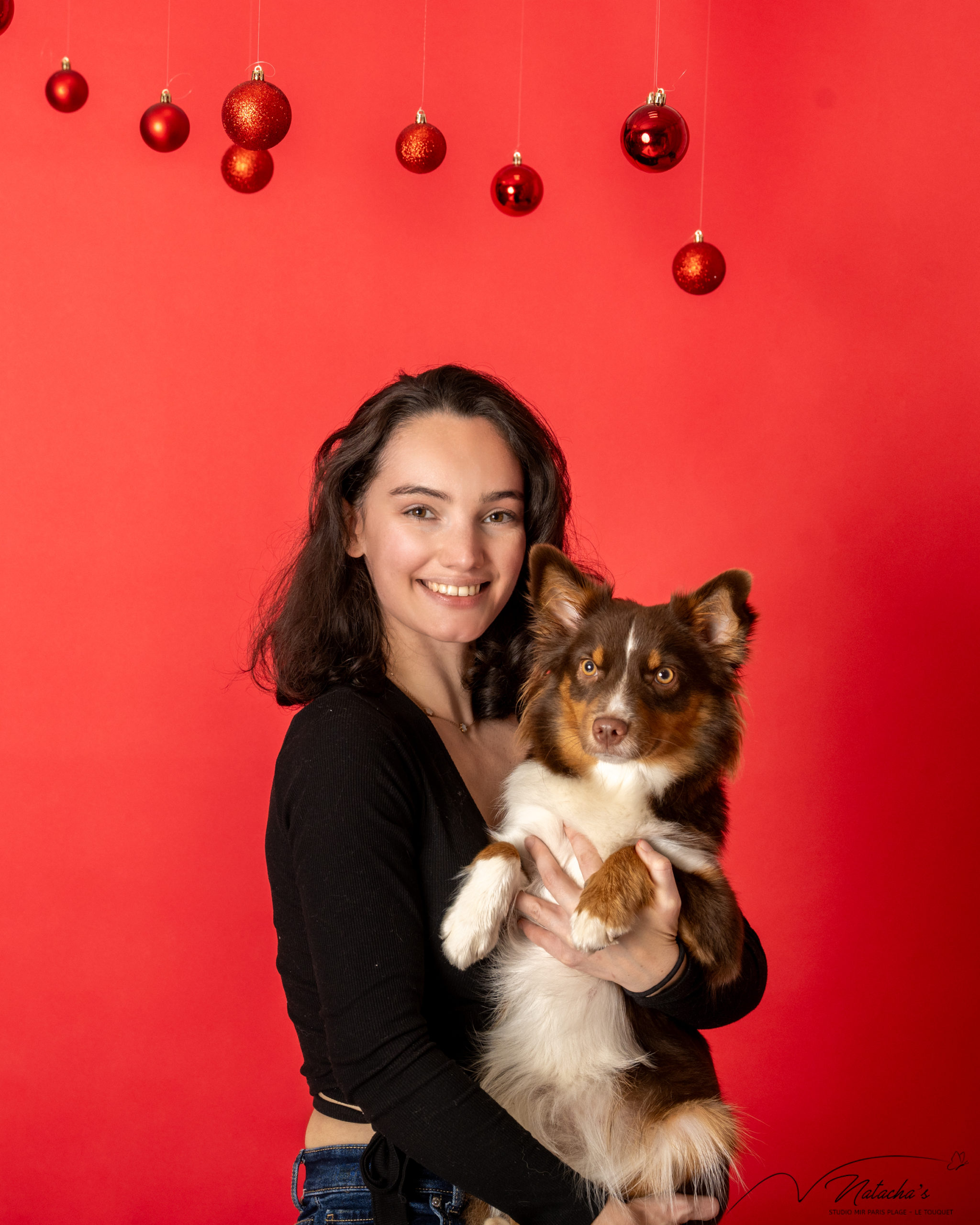 Photographe Noël au Touquet pour votre animal